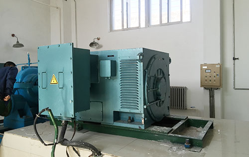 YR4001-4某水电站工程主水泵使用我公司高压电机