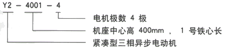 YR系列(H355-1000)高压YR4001-4三相异步电机西安西玛电机型号说明